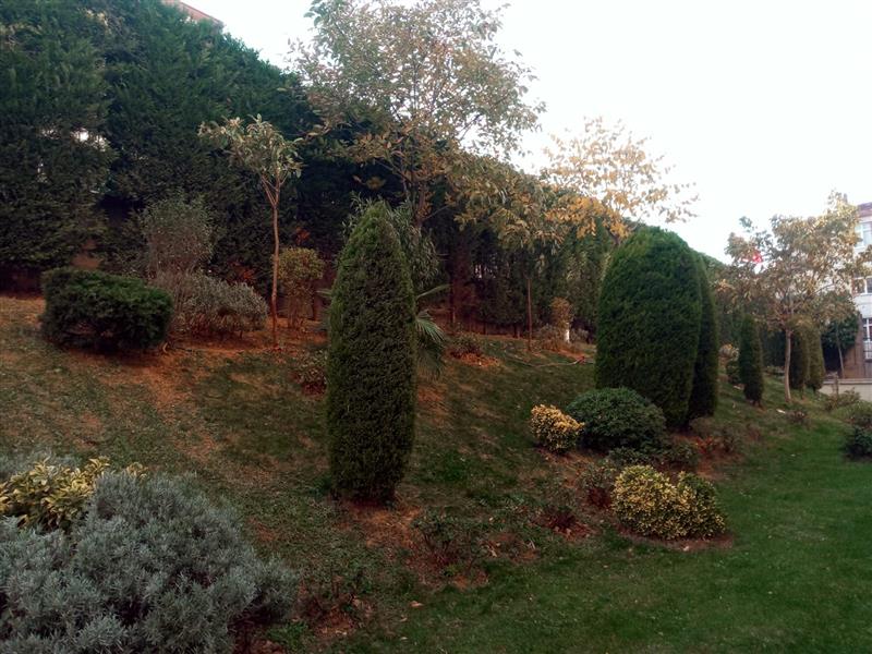 Bah�elerimiz