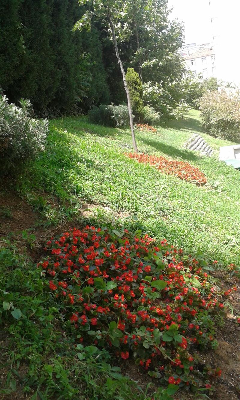 Site G�r�nt�leri