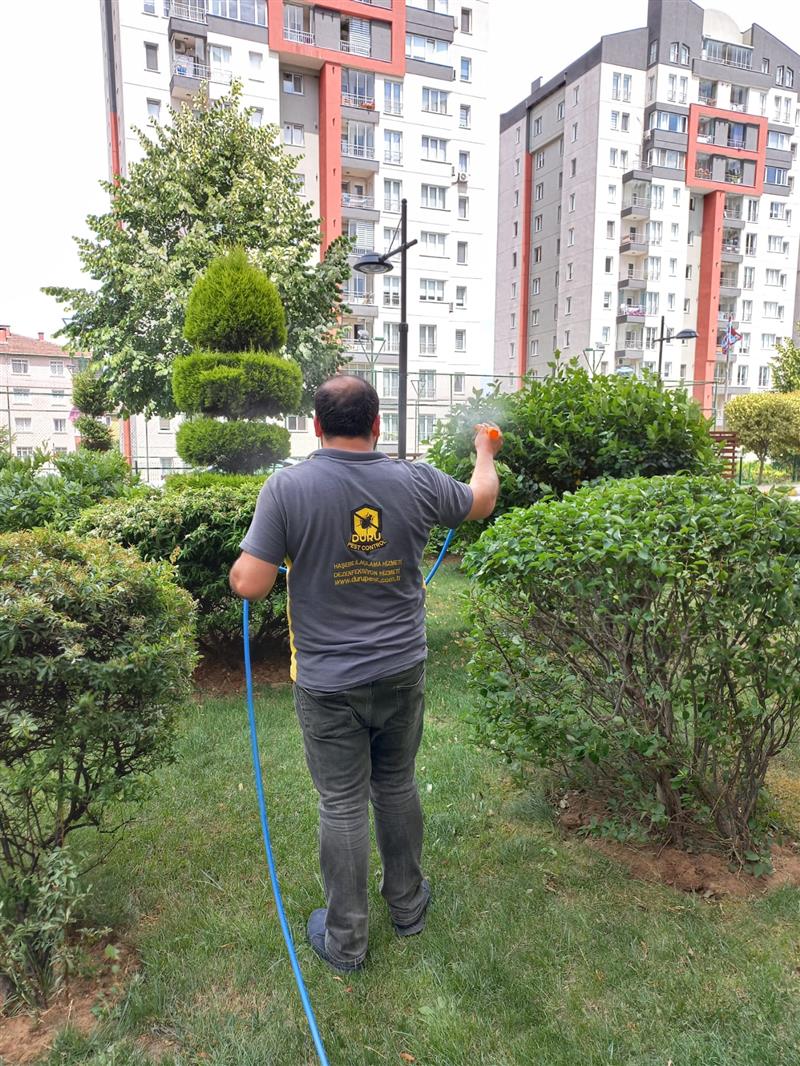 Ortak Alanlar�m�z Her Ay Rut�n Olarak Ilaclanmaktad�r